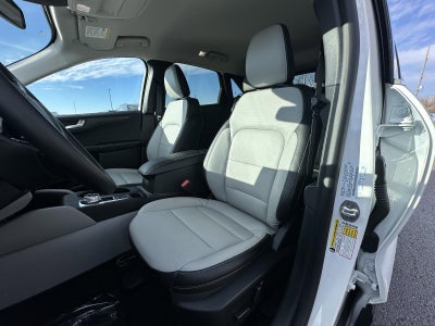 2026 Ford Escape Platinum AWD