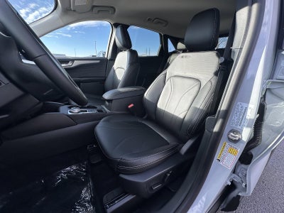 2026 Ford Escape Platinum AWD