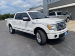 2010 Ford F-150 4WD SuperCrew 5-1/2 Ft Box Platinum