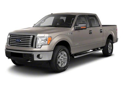 2010 Ford F-150 4WD SuperCrew 5-1/2 Ft Box Platinum