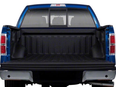 2010 Ford F-150 4WD SuperCrew 5-1/2 Ft Box Platinum