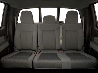 2010 Ford F-150 4WD SuperCrew 5-1/2 Ft Box Platinum