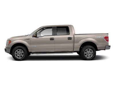 2010 Ford F-150 4WD SuperCrew 5-1/2 Ft Box Platinum