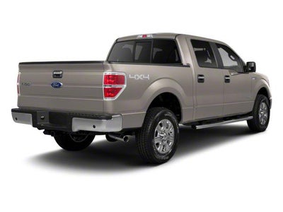 2010 Ford F-150 4WD SuperCrew 5-1/2 Ft Box Platinum