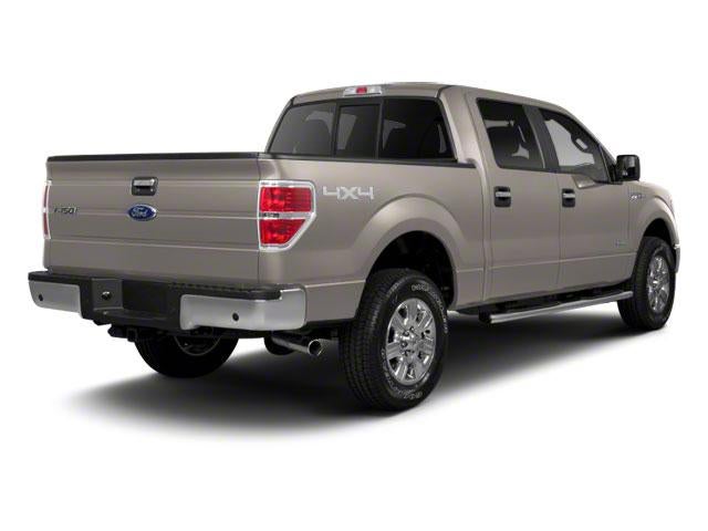 2010 Ford F-150 4WD SuperCrew 5-1/2 Ft Box Platinum
