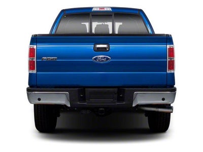 2010 Ford F-150 4WD SuperCrew 5-1/2 Ft Box Platinum