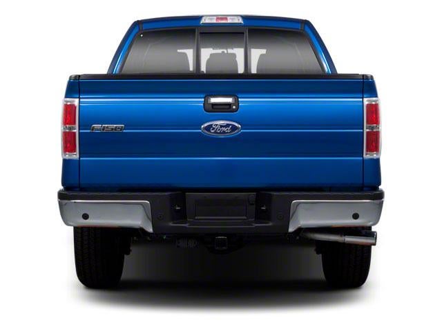 2010 Ford F-150 4WD SuperCrew 5-1/2 Ft Box Platinum